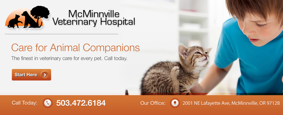 McMinnville Veterinary Hospital - Veterinarian In McMinnville, OR USA ::  Emergency Contact McMinnville Veterinary Hospital - Veterinarian in  McMinnville, OR US